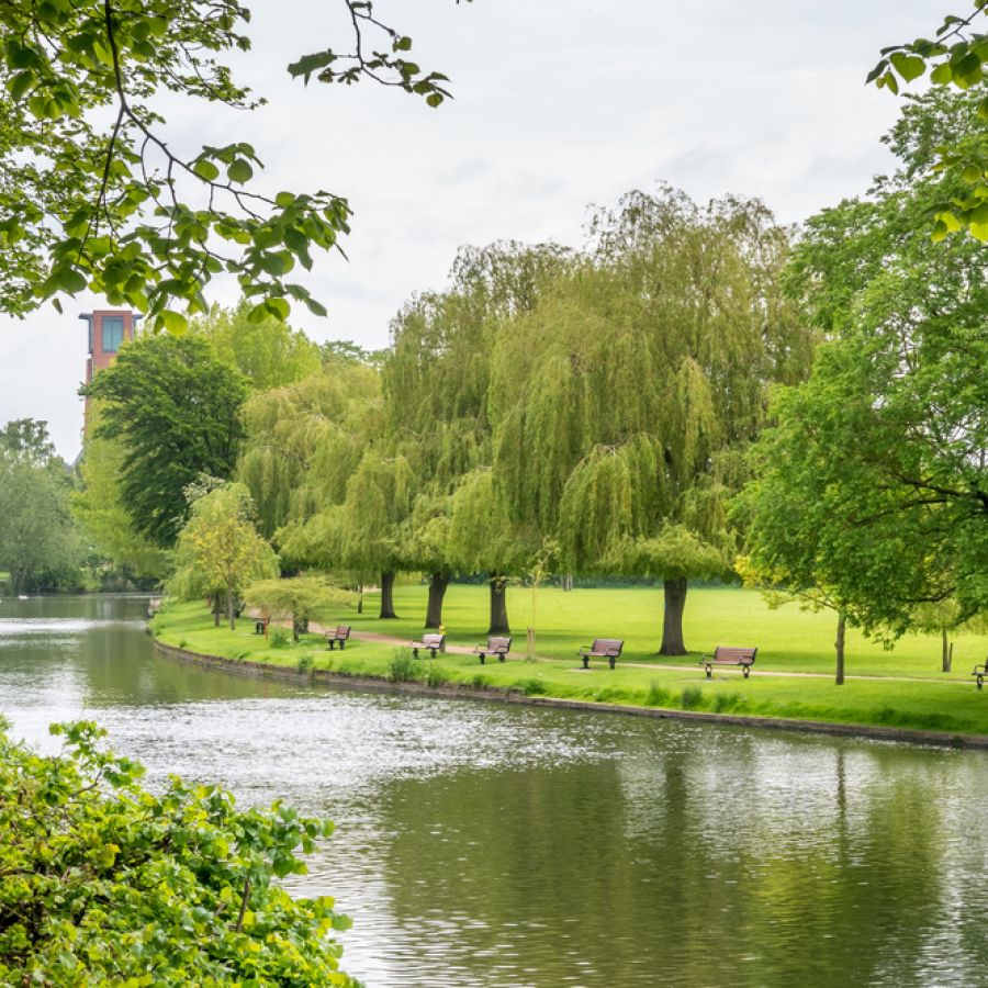 Spring Walks: River Avon