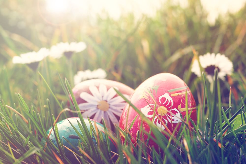 Things To Do Around Stratford Upon Avon - Colourful Easter eggs in the grass