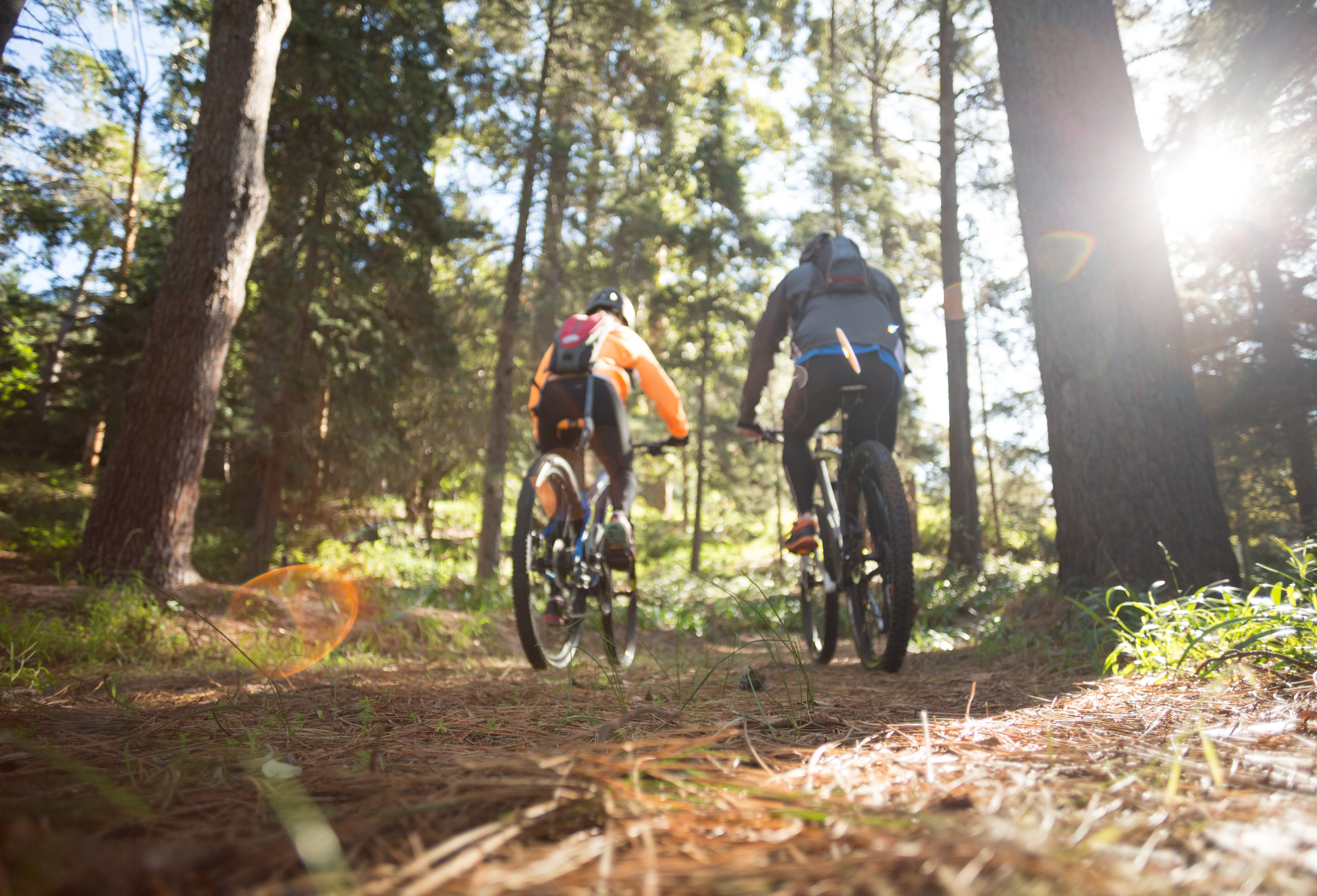 Cycling in the forest responsible travel